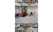 5월 21일(수) 학습지도